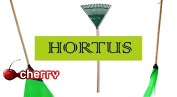 Для чистоты и порядка во дворе: грабли или метла (2 модели) марки Hortus до -55%