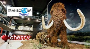 Transcom Travel: brauciens uz Leduslaikmeta perioda izstādi un AHHAA zinātnes centru Tartu -60%
