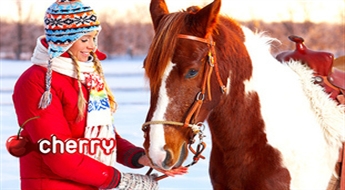 ĪRISS: прогулка по лесу или берегу моря или прогулка в повозке до -53%