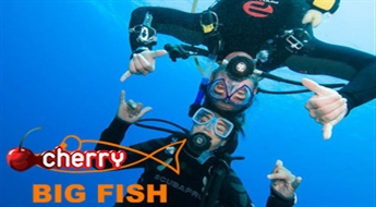 BIG FISH daivinga kurss vai izmēģinājuma niršana līdz -50%