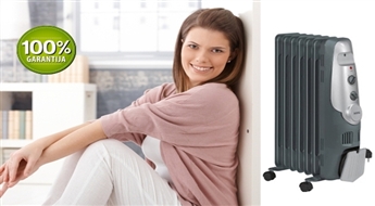 AEG eļļas radiators -49% Aizgaiņā salu – piepildi māju ar siltumu!