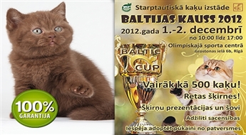 Gada lielākā kaķu izstāde “Baltijas Kauss 2012” - 50%