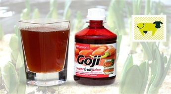 Godži sula (500 ml) no veikala ZAĻĀ GOVS -43% Dabas spēks Tavai veselībai!
