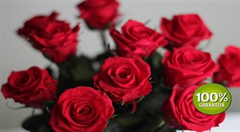 Kaislīga dāvana Valentīndienā: mūžīgā roze Amorosa -40% Priecēs gaviļnieci vismaz tuvākus 5 gadus! :)