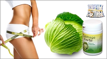 От 2 до 6 упаковок эффективных капсул для похудения "Cabbage FORTE" на основе экстрактов капусты! Со скидкой 50%!