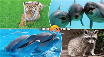 EDEM-TOUR:  Garantēts brauciens uz Lietuvu! Mini ZOO, Delfinārijs un izklaides centrs "Juozo HBH"!