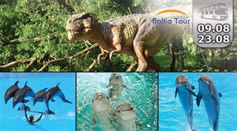 BALTIA TOUR: 23.08. un 30.08.2014. Garantēts brauciens uz KLAIPĒDAS delfināriju + apskates ekskursija Palangā + dinozauru parka apmeklējums!