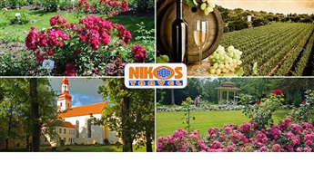 Nikos Travel: 09.08.2014. Однодневная поездка в Эстонию. Вино и Розы в Пылтсамаа.