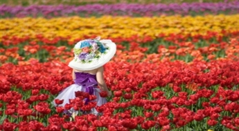 Литва - Праздник цветения тюльпанов в Бурбишки