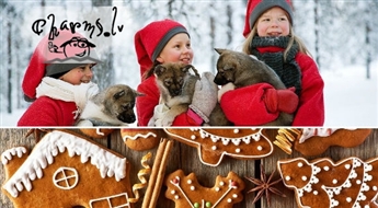 1 dienas ekskursija Ciemos pie rūķiem Raunā 11.decembrī