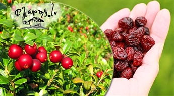 Žāvētas dzērvenes - bagātīgs vitamīnu avots 300 g.