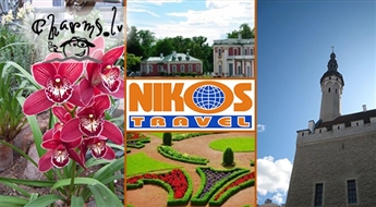 Nikos Travel: Парад орхидей в Таллинe 04.03.2017