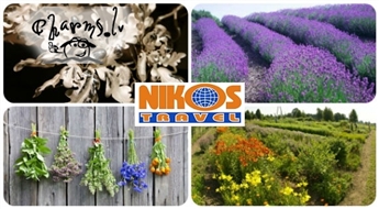 Nikos Travel :   Аромат лаванды, вкус чая и Mузей живого серебра в Лимбажи 29.07.2017