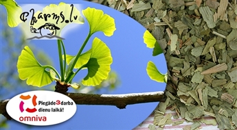 Ginkgo Biloba lapas atmiņai un koncentrācijai (100g)