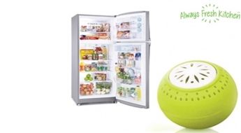 Эко-Шары для Холодильника Fresh Fridge Balls (3 шт.) -78%