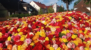 Rožu festivāls Tukumā un Abavas upes ielejā