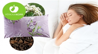 СДЕЛАННЫЕ В ЛАТВИИ подушки с гречневой шелухой для здорового и крепкого сна  (60 x 40 см)