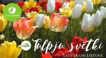Гарантированная и семейная поездка с возможностью посетить праздник тюльпанов в ЛАТВИИ -"Viestardos" и ЛИТВЕ - Бурбишкай, 11.05