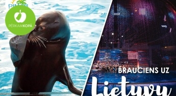 Vienas dienas brauciens uz Klaipēdu: Delfīnu šovs, Jūras muzejs, akvārijs un ekskursija pilsētā 09.03.