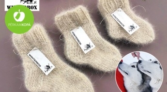 Сделано в Латвии! Детские носочки из шерсти Сибирских хаски WINTERBOX (16 -32 размер)