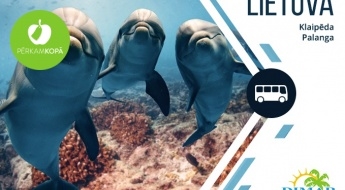 ЛИТВА: тур в Клайпеду и Палангу с возможностью посетить дельфинарий + Янтарный музей 31.08 или 21.09
