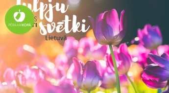 Однодневная поездка в Литву с возможностью посетить праздник тюльпанов в Бурбишкай, виноградники и гору Крестов 11.05