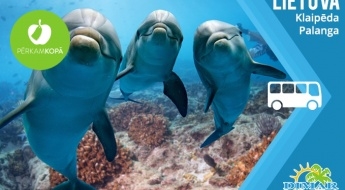ЛИТВА: тур в Клайпеду и Палангу с возможностью посетить дельфинарий + Янтарный музей