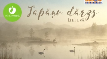 Поездка в Литву с возможностью посетить долину Поющих камней и праздник открытия курорта Паланги