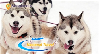 Nacional Travel: 30.12.2017. Lielākā Haskij suņu ciemata apmeklējums + Briežu safari + Karameļu darbnīca + Pazemes bunkuri Līgatnē