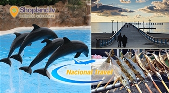Nacional Travel: 17.02.18 - Палангос Стинте 2018 + шоу Дельфинов в Клайпеде!