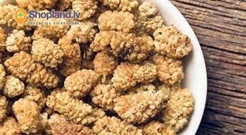 Žāvētās zīdkoka ogas 500g