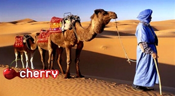 VRK Travel: 5 dienas Marokā (nakšņošana + ekskursiju programma) -40%