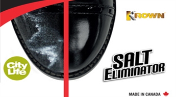 Аэрозоль KROWN “Salt Eliminator” для удаления солевого налета -44%