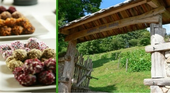 JAUNI RAKURSI: 1 dienas ekskursija uz KURZEMI -40% Pūres šokolādes rūpnīca, Sabiles leļļu dārzs un krāšņais Vīna kalns vīnogulāju ziedēšanas laikā!