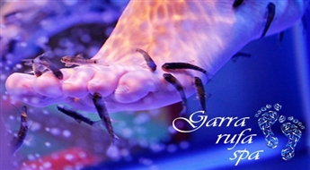 Ekskluzīvais Garra Rufa zivtiņu pīlings kājām salonā Garra rufa SPA, Vecrīgā -50%