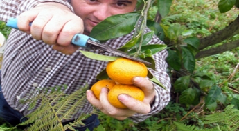 Gruzija - Piedzīvojumi ar mandarīniem saulainajā Gruzijā