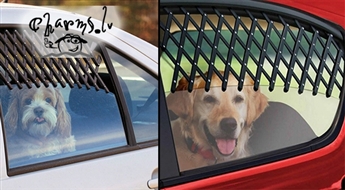 Režģis uz automašīnas aizmugurējiem logiem! Parūpējies par savu mājdzīvnieku!
