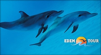 Дельфинарий, Морской музей и отдых в HBH Паланга (15.07.23.)