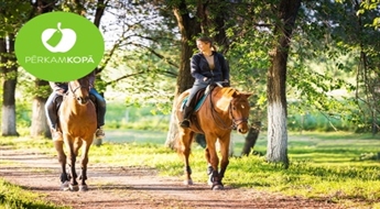 Отдохни за пределами Риги! Прогулка верхом на лошади по лесу + инструктор на 1 или 2 человека (2 ч)