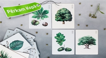СОЗДАННАЯ В ЛАТВИИ игра по распознаванию деревьев для детей и взрослых "Kokotājs"