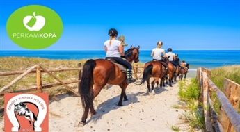 Клуб любителей лошадей "Īriss" в Вецаки: верховая прогулка или поездка в повозке по лесу или пляжу