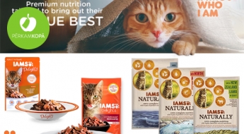 IAMS konservēta barība kaķiem - dažādas garšas mērcē vai želejā (komplekti)