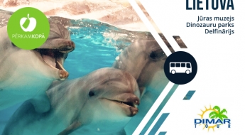 Литва: поездка в Морской музей, аквариум, дельфинарий, парк Динозавров и Перевернутый дом