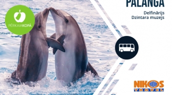 Золотая осень в Паланге и Клайпеде: дельфинарий, Янтарный музей, экскурсии по городу 26.09.2020