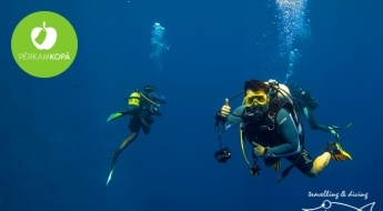 Научись плавать под водой! Теоретическое обучение + ныряние с аквалангом в сопровождении сертифицированного инструктора