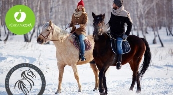 Romantiska dāvana aktīvajiem! Izjāde zirga mugurā pa mežu Ādažu pusē pieaugušajiem un bērniem + instruktors