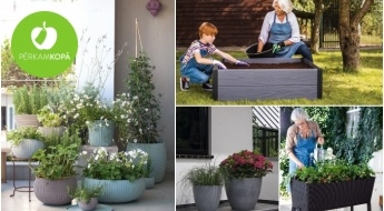 Элегантность и современный дизайн для твоего сада! Цветочные горшки большого размера KETER по ценам распродажи!
