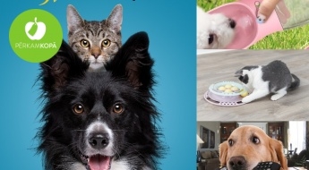 Zoo interneta veikals DRAKOSHOP piedāvā: rotaļlietas, gardumi u.c. preces suņiem un kaķiem