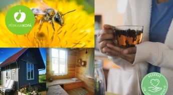Atveseļošanās kūre bišu namiņā: stāsts par bitēm + sveču pagatavošana + relaksācija