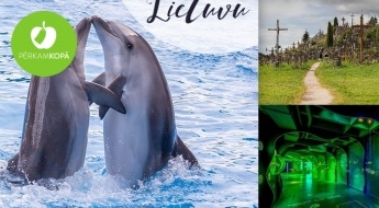 Vienas dienas ekskursija uz Lietuvu ar iespēju apmeklēt Delfināriju, Jūras muzeju un Krusta kalnu